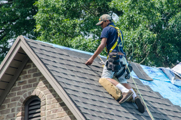 Best Roof Waterproofing Services  in Brusly, LA