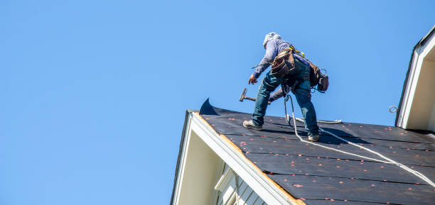 Best Gutter Installation and Roofing  in Brusly, LA